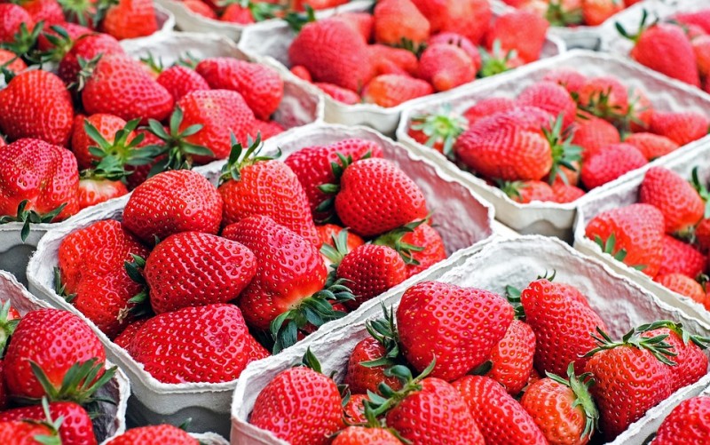 Morocco’s Strawberry Export Revenues Reach Up to 70 Million Annually