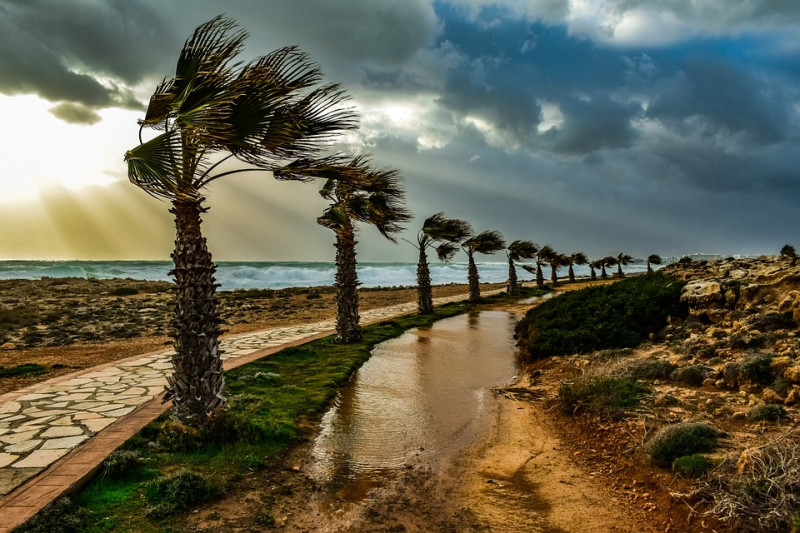 How to photograph during windy conditions