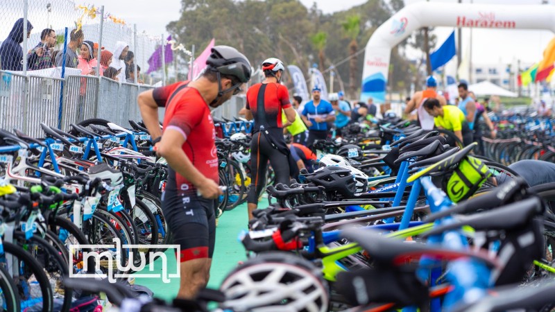 participants in the transition area