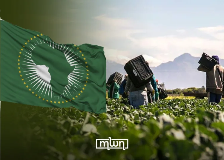Morocco Urges Lasting Political Solution to Sudan Crisis at AU Meeting 1