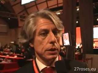 The new constitution, ‘major step’ on path of democracy consolidation – Spanish diplomat