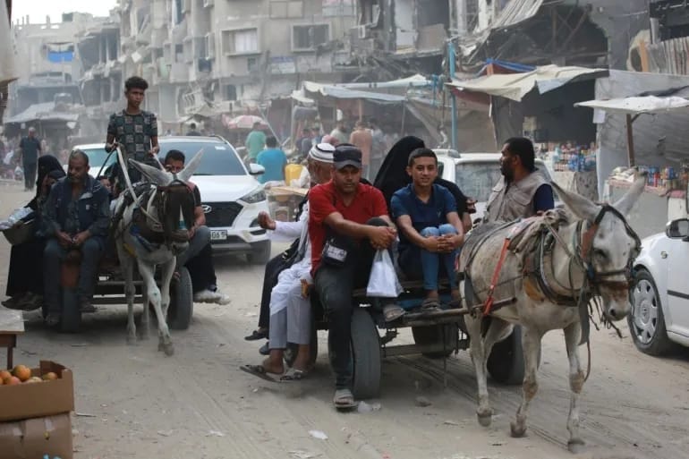 80% of Gaza Under Evacuation Orders or Designated No-Go Zones