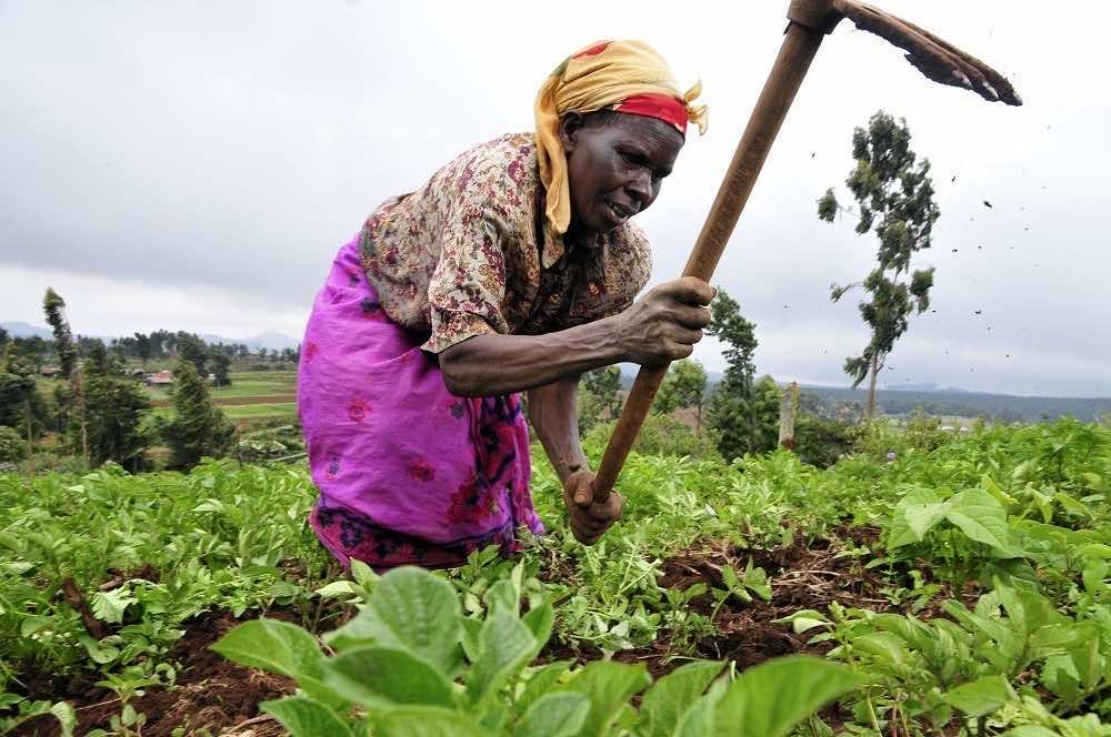 Africa Urgently Needs $100 Billion to Face Coronavirus Pandemic