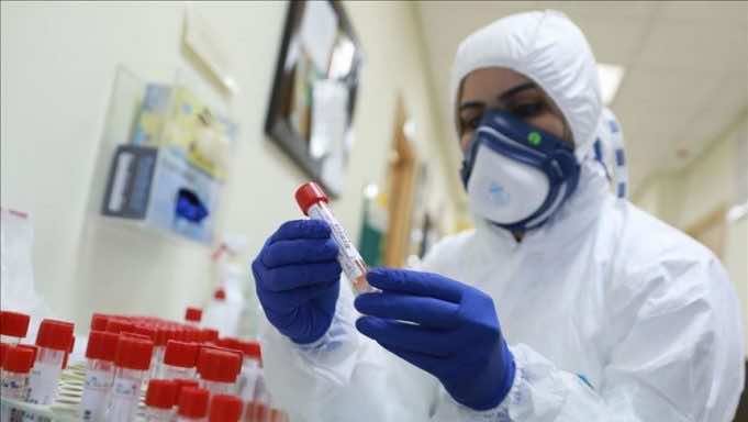 Morocco Confirms 4,702 New COVID-19 Cases, 74 Deaths in 24 Hours
