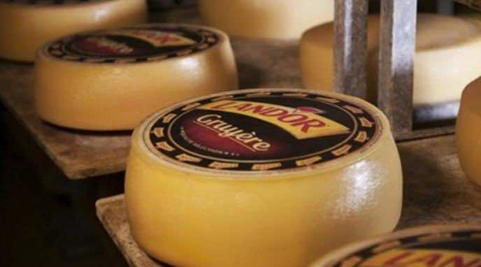 EBRD Invests €7.8 Million in New Cheese Factory in Kenitra