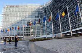 Euro Parliament voices condolences over Moroccan military plane crash