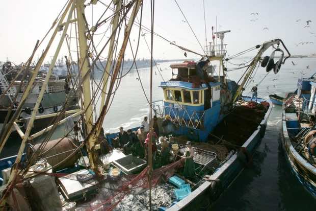 Polisario Wants Part of the Money of EU-Morocco Fisheries Deal