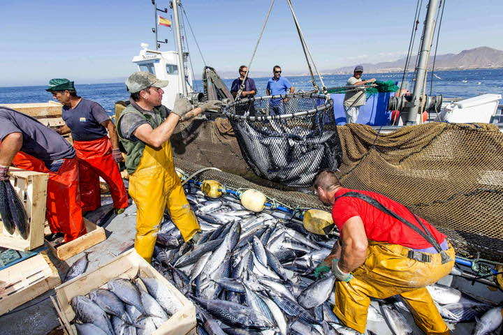 12 Moroccan Fishermen Missing off Morocco’s Atlantic Coast