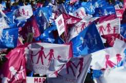 Activists cheer as France paves way for gay marriage