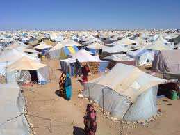 Sahara: four Italian attorneys highlight the “due Process” of gdeim Izik