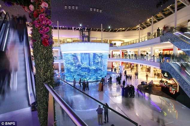 Gigantic aquarium opens in shopping mall with 3,000 fish, 264,000 gallons of water and the strength to withstand earthquakes