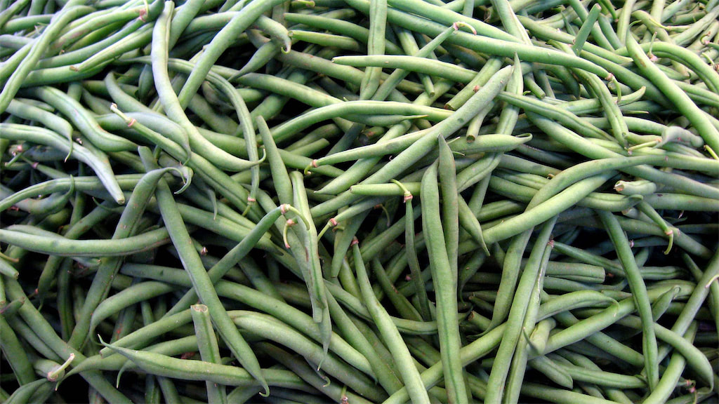 Moroccan Beans in Germany Found to Contain High Pesticide Levels