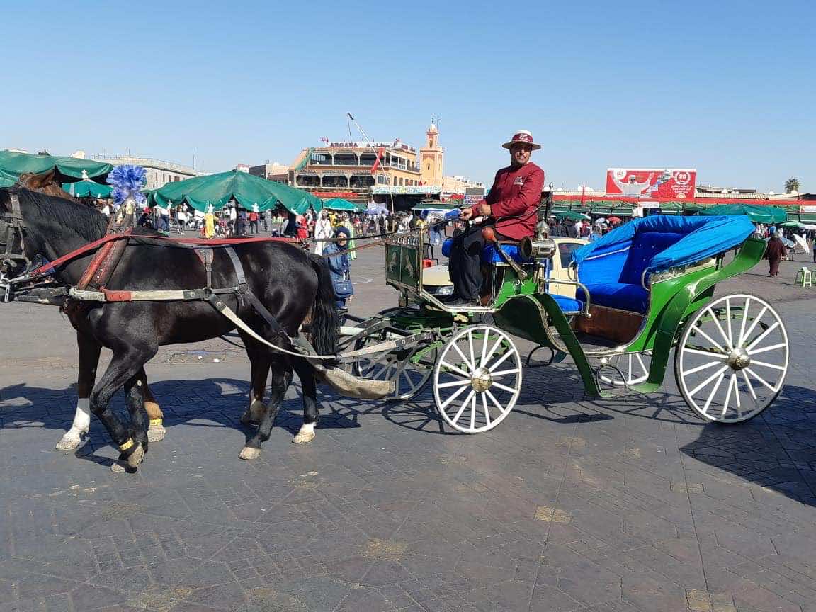 Horse-Drawn Carriage Drivers in Marrakech Debut Winter Uniforms