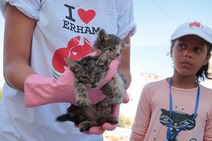ERHAM: Taking Pity on Morocco’s Cats