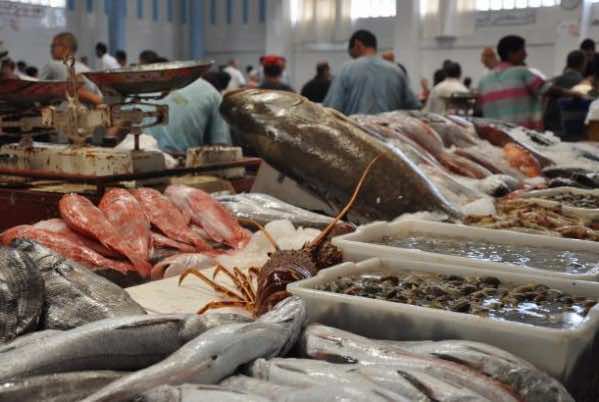 Morocco First Fish Exporter in Africa