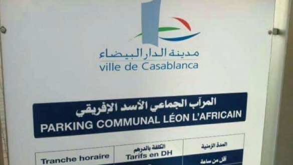 Leo Africanus, ‘African Lion’? Moroccans Laughs at Casablanca Municipality’s Erroneous Translation