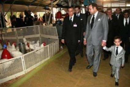 Ahead of vote, Morocco cancels farmers’ debt