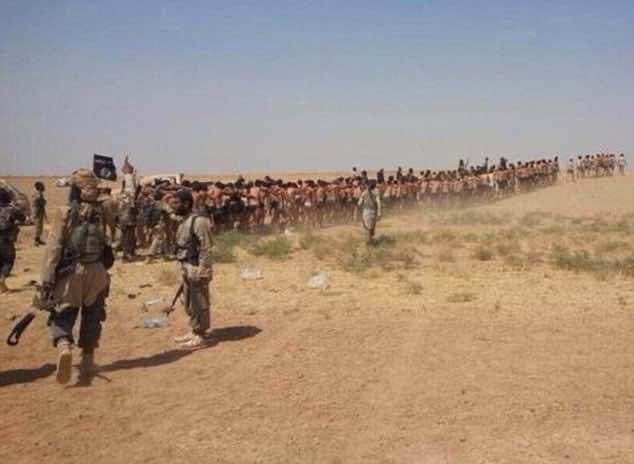 22 ISIS Terrorists Killed in Northern Syria