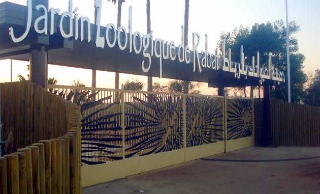 Meet the New Faces at Rabat’s National Zoo