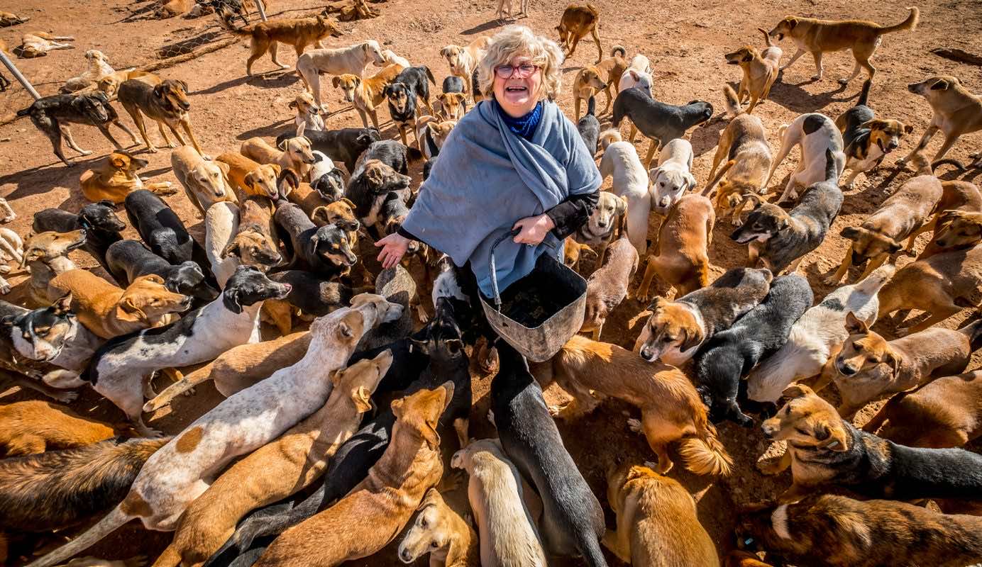 CSP-SARA Morocco: Building a Brighter Future for Agadir’s Strays