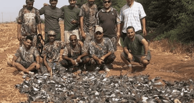 Ministry Suspends Hunting License from Company Responsible for ‘Bird Massacre’