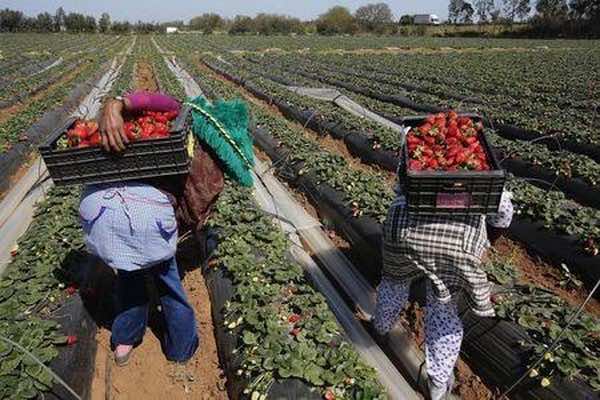 Japan Donates MAD 2.57 Million for Agricultural, Health Projects in Morocco