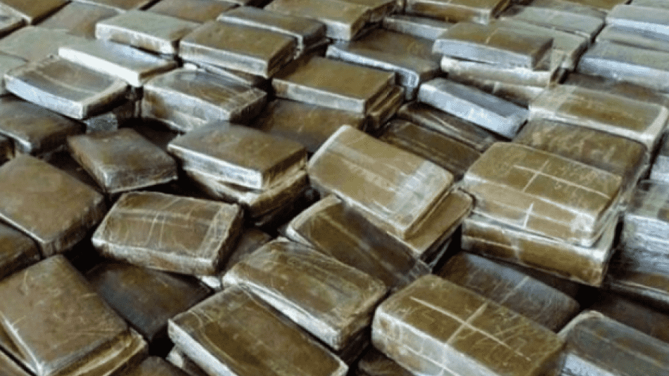 Moroccan Police Investigate Trafficking of 505 Kg of Cannabis in Algeciras