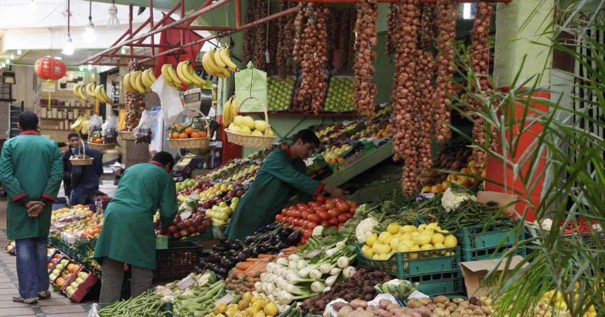 New Study Urges Morocco To Diversify Economy to Spur Job Creation