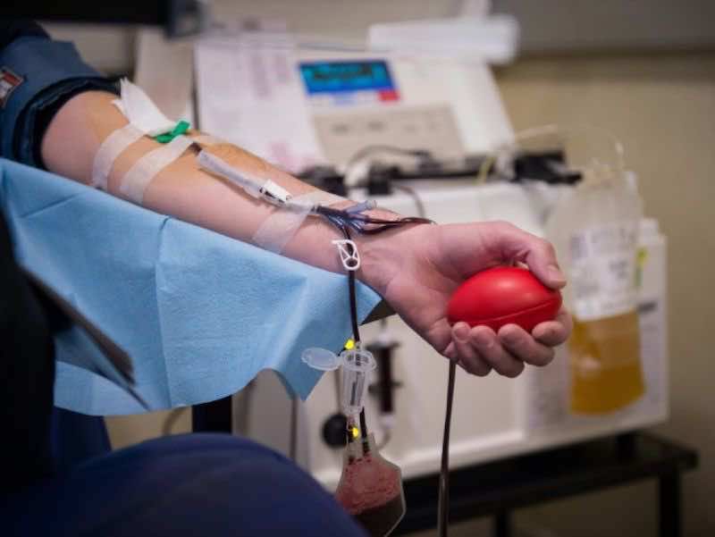 Moroccans Rise to Call for Blood Donations in Errachidia