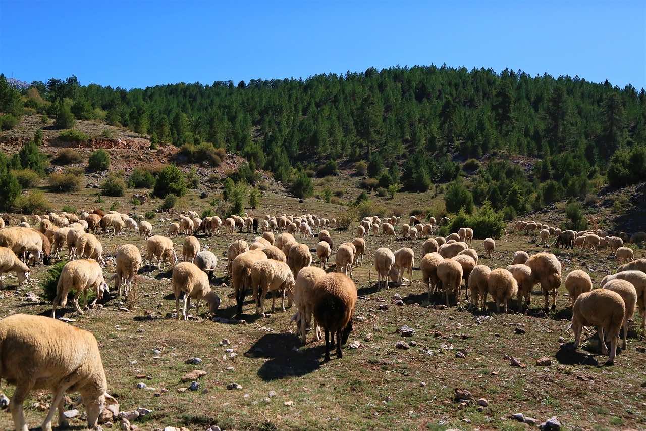 Morocco Allocates MAD 7.88 Billion to Fight Territorial Disparities