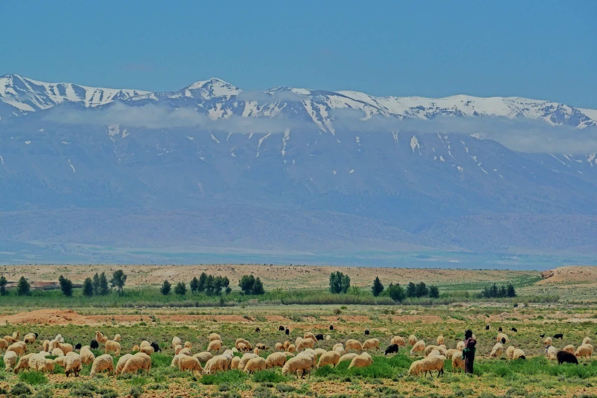 Morocco Launches Training, Integration Program for Sub-Saharan Migrants