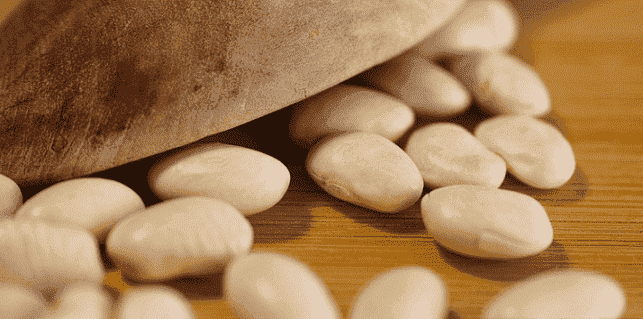Morocco Reassures Citizens After Dry Bean, Chickpea Prices Increased