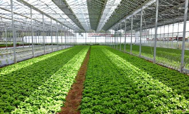 Morocco Signs MoU with French Development Agency for Agriculture Plans