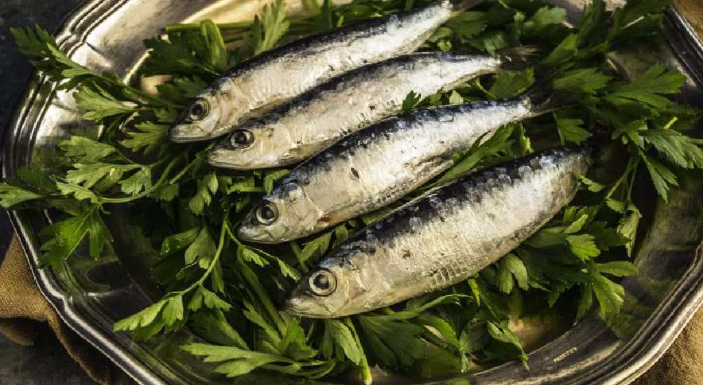 Morocco the World Leader in Sardines Production