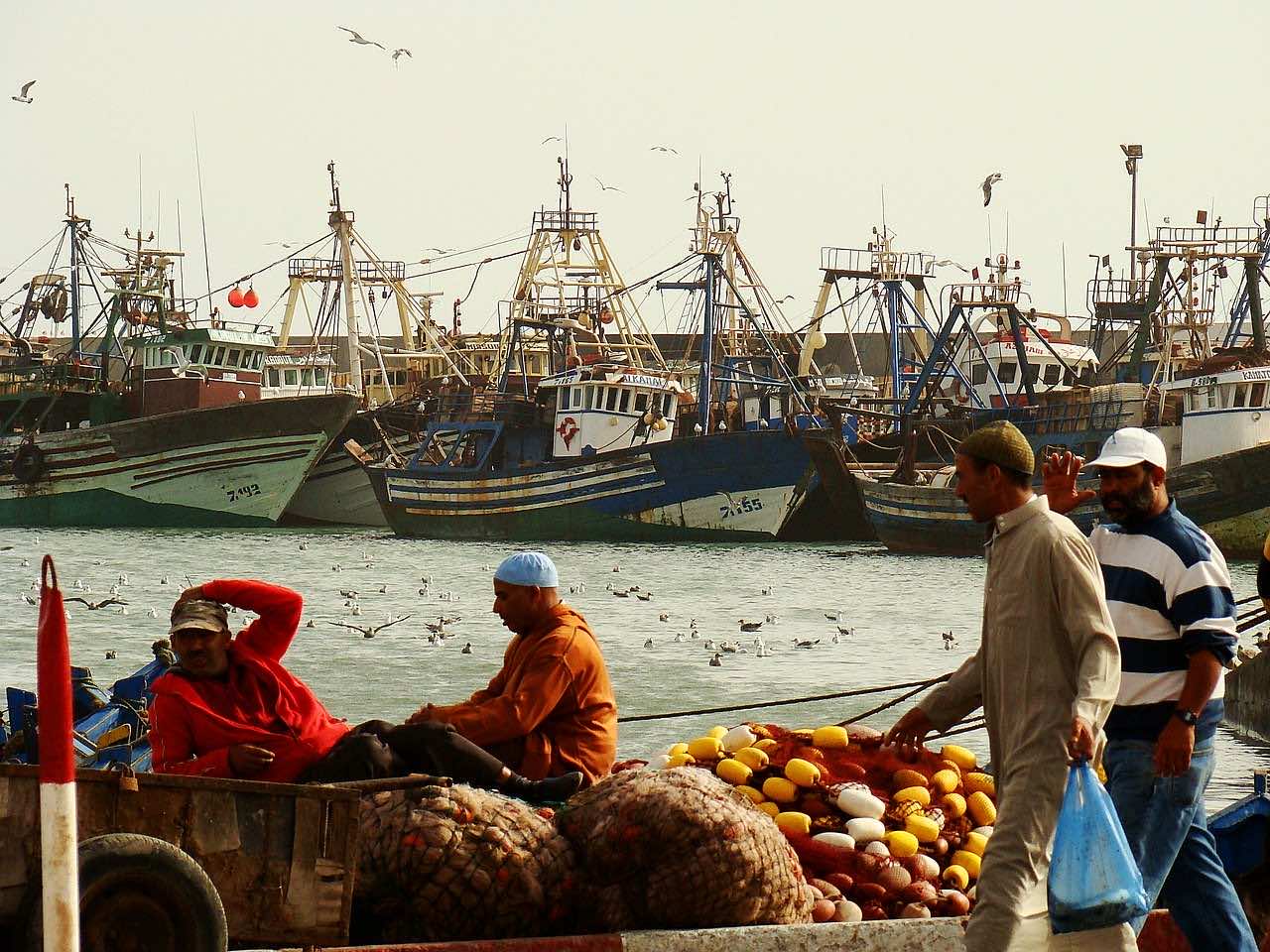 Morocco’s Agricultural, Fisheries Sectors Adapt to COVID-19 Crisis