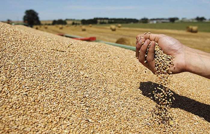 Morocco’s Cereal Bill Up 21.3% in Jan-Jul 2016
