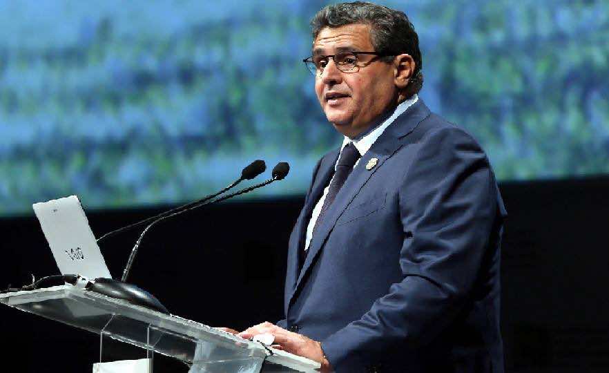 Morocco’s Cereal Output and Animal Industry Record Marked Rise