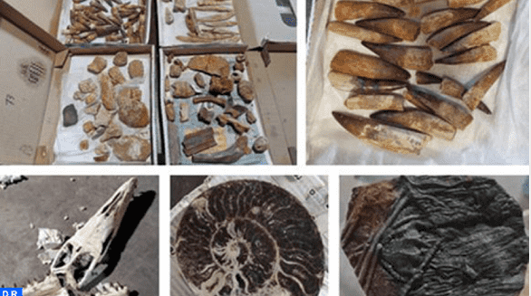 Morocco’s Customs Thwarts Geological Artifact Smuggling Operation