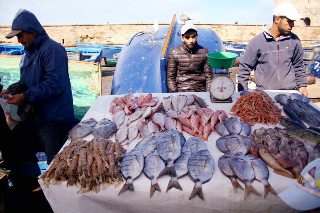 Morocco’s Fish Exports Record 7% Annual Increase as of September 2020