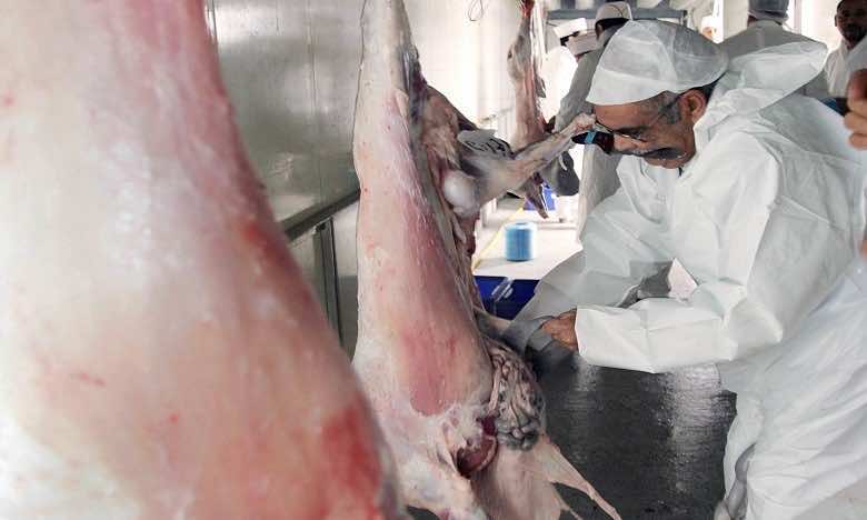 Morocco’s Interior Ministry Prepares for Eid al-Adha With Safety Measures