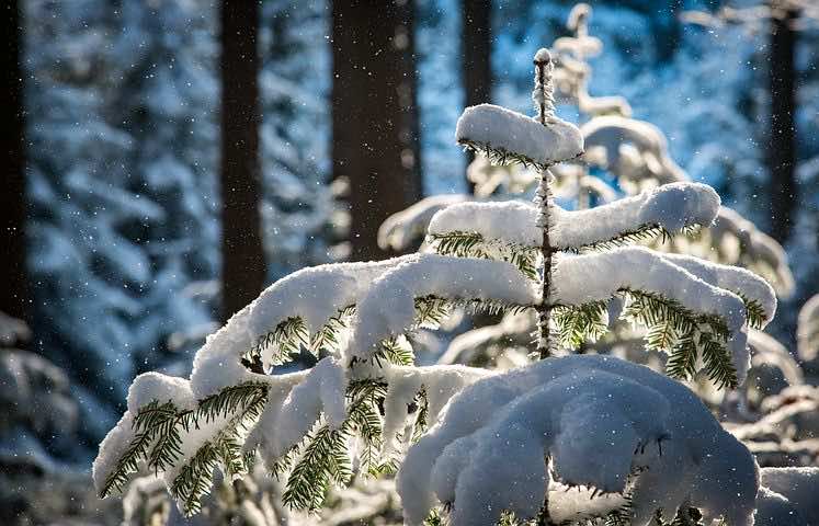 Morocco’s National Plan Against Cold Wave Targets 1,776 Villages