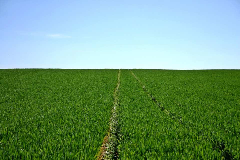 Morocco’s OCP Launches New Online Service to Promote Agricultural Development