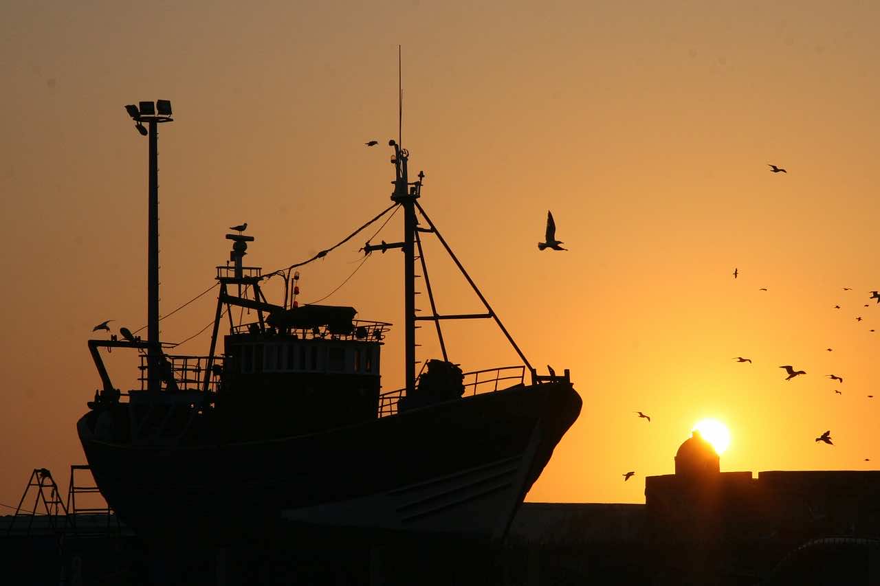 Morocco’s Port of Dakhla Landed 605.34 Million Tons of Fish in 2019