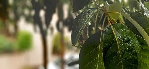 Morocco’s Weather Office Expects Strong Thunderstorms Friday, Saturday