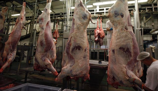 Belgium’s Wallooon Region Bans Halal and Kosher Slaughter