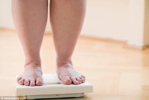 WHO: 14 Percent of Moroccan Children Are Obese