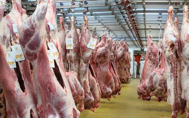 Essaouira Court Sentences Butches to 3-4 Months in Jail for Selling Rotten Meat