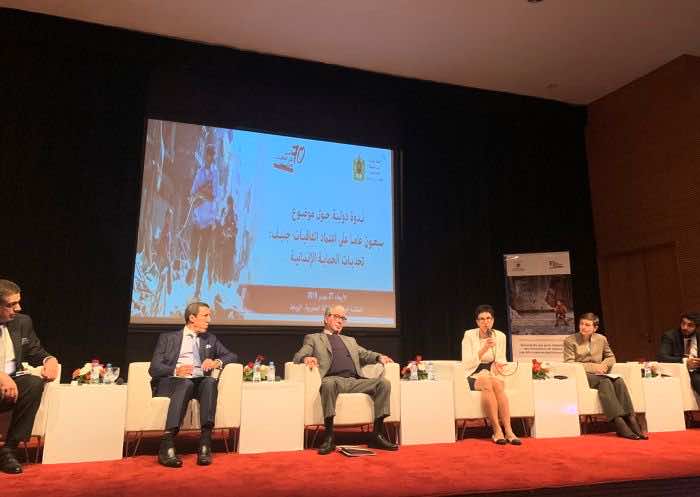 Morocco’s UN Ambassador: We Welcome Foreigners Looking for Refuge