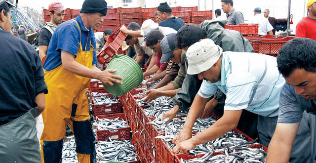 Fikri’s Death: Trade Unions Declare Three Days of Strike 