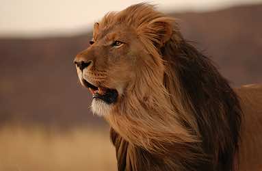 Morocco’s National Zoo Nears Completion